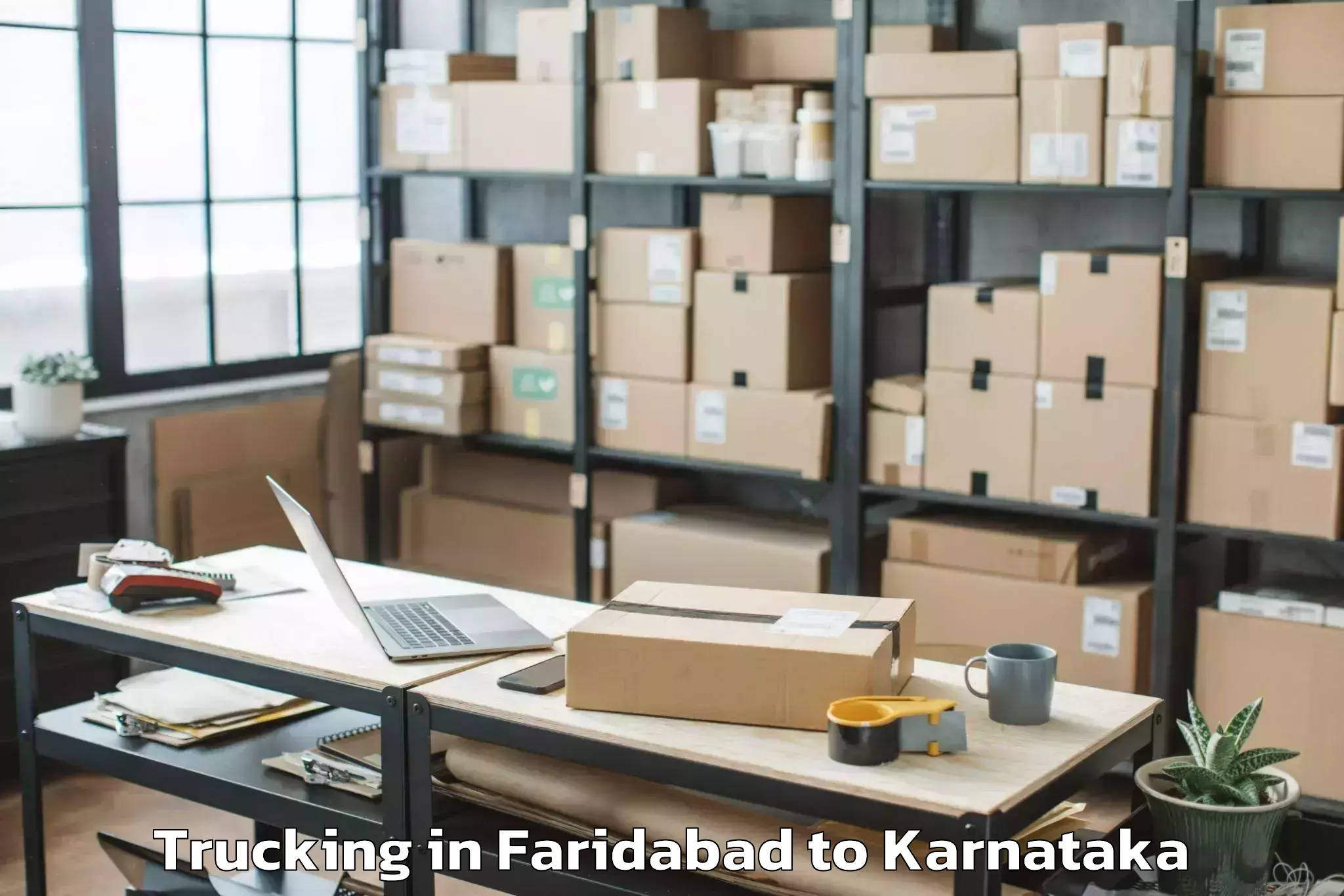 Easy Faridabad to Lingasugur Trucking Booking